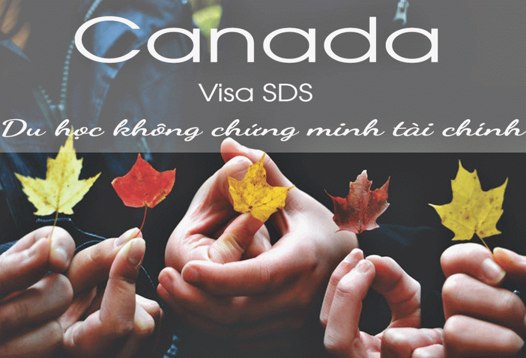 SDS hay Study Direct Stream là chương trình visa ưu tiên cho sinh viên