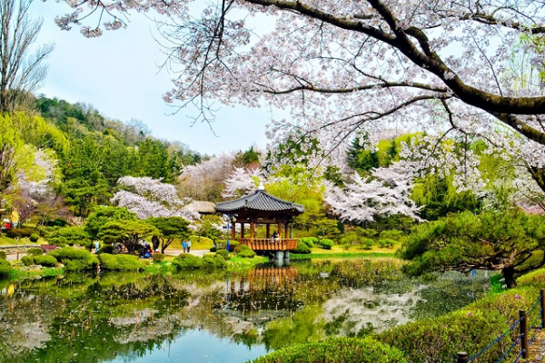 Phong cảnh đẹp Hàn Quốc | Những điểm du lịch nổi tiếng Hàn Quốc