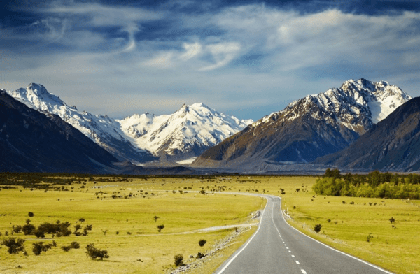 kinh nghiệm xin visa New Zealand online