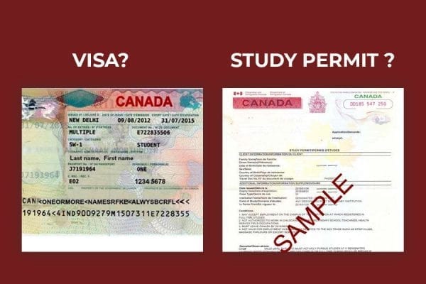 xin study permit canada, study permit là gì, canada study permit, study permit canada, gia hạn study permit canada, ircc study permit, study permit là gì
