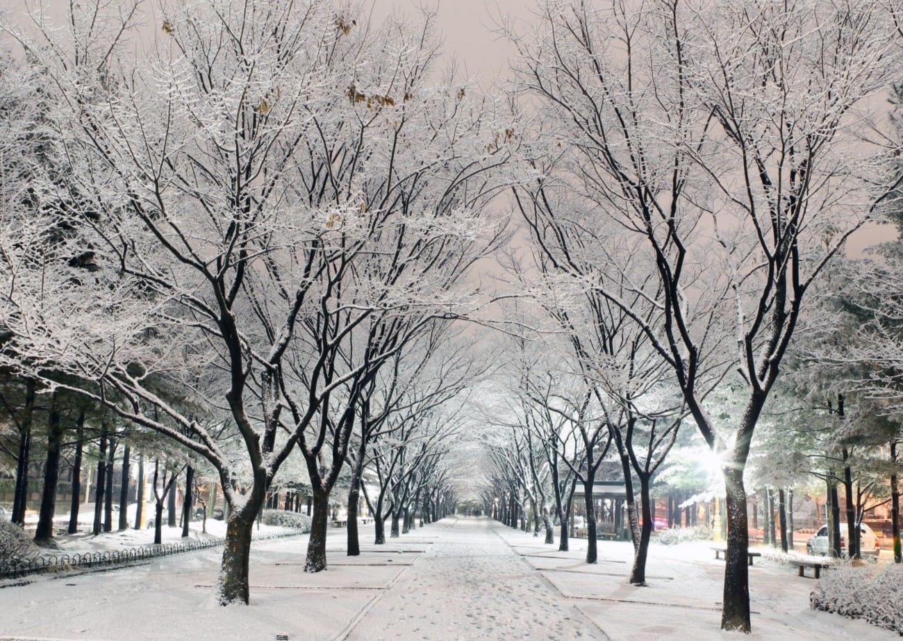 Phong cảnh Hàn Quốc mùa đông - Khám phá thiên đường tuyết