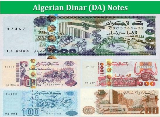 Tiền của Algeria: Dinar Algeria | Quy đổi sang Việt Nam đồng