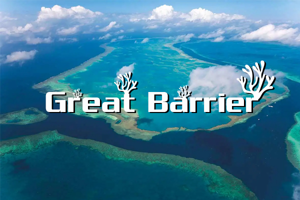 great barrier reef, great barrier reef australia, great barrier reef ở đâu, great barrier reef là gì, the great barrier reef là gì, rặng san hô great barrier, rặng san hô, rạn san hô great barrier, rặng san hô lớn nhất thế giới, great barrier, rạn san hô lớn nhất thế giới, rạn san hô đẹp nhất thế giới