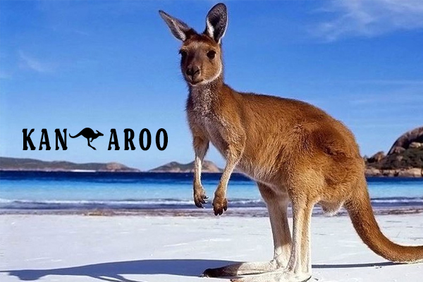 chuột túi, con chuột túi, kangaroo của nước nào, chuột túi kangaroo, kangaroo sống ở đâu, chuột túi sống ở đâu, kangaroo nghĩa là gì, con chuột túi tiếng anh là gì, chuột túi ăn gì, kangaroo chuột túi, kangaroo đực có túi không, kangaroo là của nước nào, chuột túi con, con chuột túi kangaroo, tìm hiểu về chuột túi kangaroo, chuột túi úc, chuột túi ở nước nào, chuột túi con mới sinh, chuột túi ở úc, chuột túi sinh sản như thế nào, hình con chuột túi, chuột túi kangaroo là biểu tượng của nước nào, chuột túi cao bao nhiêu, chuột túi sinh con, con chuột túi ăn gì, con chuột túi ở đâu