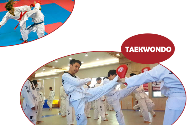 TAEKWONDO, võ taekwondo, đai taekwondo, taekwondo là gì, taekwondo có mấy đai, nguôn gốc của taewondo, đặc điểm của teawondo, taekwondo bắt nguồn từ đâu, taekwondo dùng chân hay tay, taekwondo khác karatedo ở điểm nào