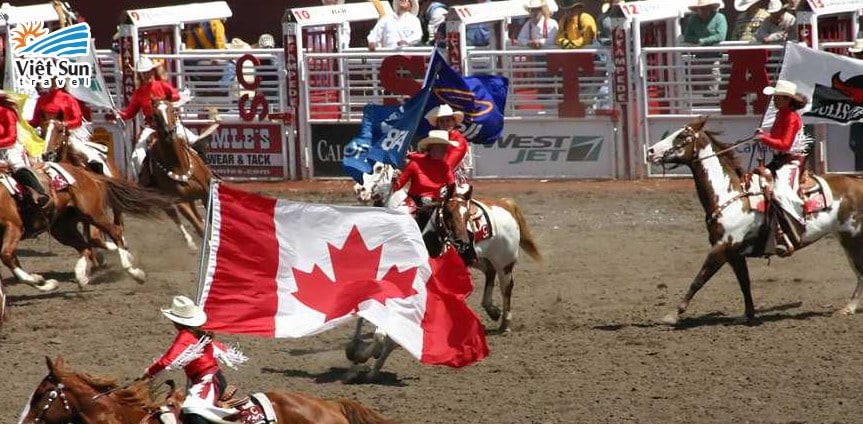 Lễ hội Calgary Stampede Canada - Lễ hội cao bồi lớn nhất hành tinh