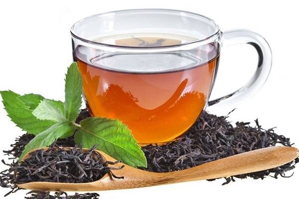 cách pha trà bá tước, cách pha trà bá tước ngon, cách pha trà earl grey ngon, công dụng của trà bá tước, công dụng của trà earl grey, công dụng trà bá tước, earl grey, earl grey là gì, earl grey là trà gì, earl grey tea, earl grey tea là gì, earl grey tea là trà gì, nguồn gốc trà bá tước, nguồn gốc trà bá tước anh, tác dụng của trà bá tước, tác dụng của trà earl grey, trà bá tước, trà bá tước anh quốc, trà bá tước có tác dụng gì, trà bá tước có vị gì, trà bá tước là gì, trà bá tước là trà gì, trà earl grey, trà earl grey có tác dụng gì, trà earl grey có vị gì, trà earl grey là gì, trà sữa earl grey 