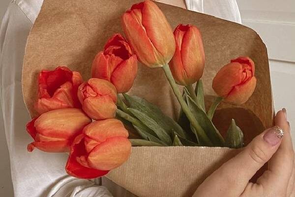 hoa tulip, hoa tulip là biểu tượng nước nào, quốc hoa hungary, nguồn gốc hoa tulip, đặc điểm hoa tulip, hình ảnh hoa tulip đẹp, hoa tulip có ý nghĩa gì, ý nghĩa loài hoa tulip, ý nghĩa hoa tulip, hoa tulip ý nghĩa, hoa tulip ở nước nào, hoa tulip là biểu tượng của nước nào, ý nghĩa hoa tulip vàng, ý nghĩa của hoa tulip, hoa tulip xanh, hoa tulip đỏ có ý nghĩa gì, hoa tulip hồng, hoa tulip trắng có ý nghĩa gì, hoa cưới tulip có ý nghĩa gì, ý nghĩa hoa tulip trắng, ý nghĩa hoa tuy lip 