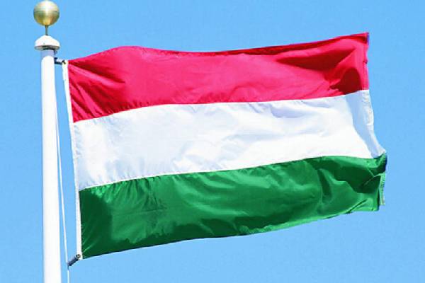 Đây là bức ảnh đầy cảm xúc về lá cờ quốc gia Hungary, với cờ được thổi theo gió, trên nền trời trong xanh. Đây là một biểu tượng về đất nước Hungary và mang đầy tính trang trọng, nổi bật với các đường viền tròn và hung tinh, tạo thành một hình ảnh cực kỳ đẹp mắt. Hãy cùng điểm tô cho bức ảnh này với sự kiêu hãnh và tự hào của người Hungary.