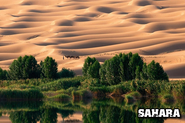 sa mạc sahara, sa mạc sahara ở đâu, sa mạc sa ha ra, sa mạc sahara ở nước nào, sa mạc sahara nằm ở đâu, hình ảnh sa mạc sahara, khám phá sa mạc sahara, nhiệt độ ở sa mạc sahara, tìm hiểu về sa mạc sahara, sa mạc sahara của nước nào, sahara ở đâu, sa mạc sahara thuộc nước nào, hoang mạc sahara ở đâu, sa mac sahara o dau, sa mạc ở nước nào, sa mạc sahara nằm ở đâu	, hoang mạc sahara nằm ở đâu